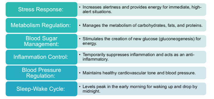<p>steroid hormone produced by adrenal glands, manages stress, metabolism, blood pressure and immune function, it is primary stress hormone, helps fuel flight or fight response, raises bp and regulates sleep and wake cycle</p><p>low cortisol- tiredness, apetite loss, hypotension</p>