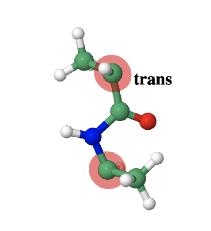 <p>trans geometric isomer</p>