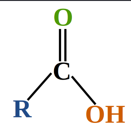 <p>an organic compound containing a carboxyl group (−COOH) attached to a carbon chain or hydrogen atom</p>