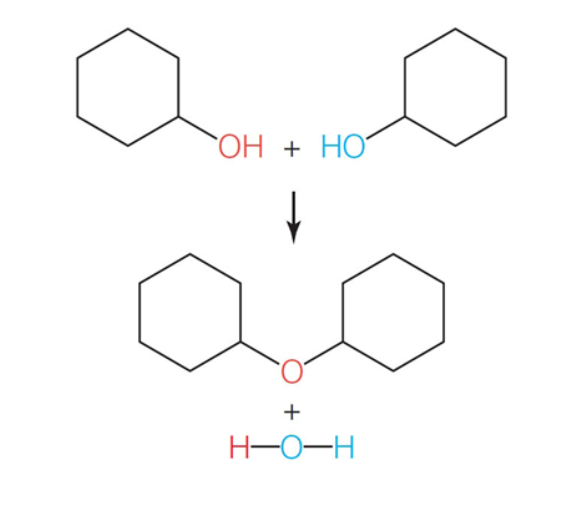 <p>a chemical reaction that joins monomers. one molecule gives up a hydrogen, and the other gives up hydroxide. the H and OH combine to form a water molecule which is released as a strong covalent bond forms between the two smaller molecules. (opposite of hydrolysis). water is made but also leaves the body.</p>