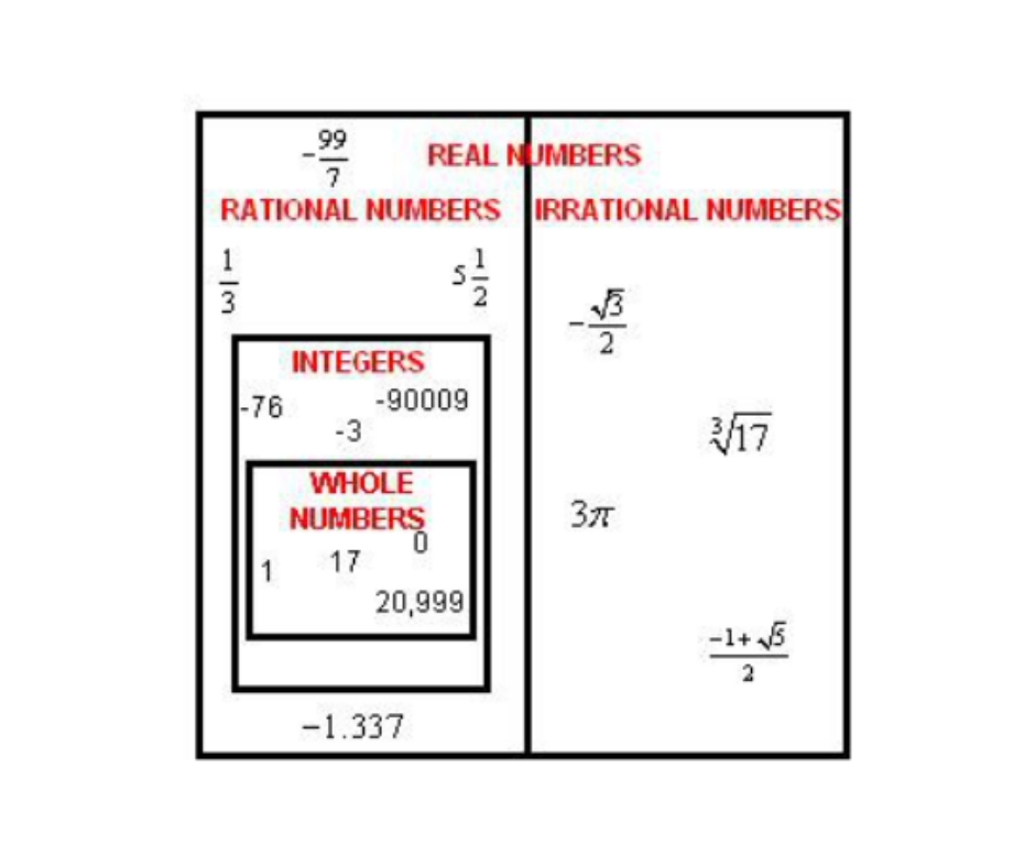 <p>The set of all rational and irrational numbers.</p>