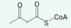 <p>name the structure</p>