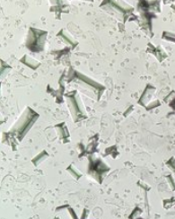<p>what crystal ; acid or alk?</p>
