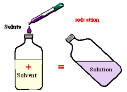 <p>A substance or substances that are dissolved in a solution (example: the salt in saltwater); solute is usually a solid and is the lesser quantity of the two (versus the solvent)</p><p>AQUEOUS = a solution in which water is the solvent (aq) Example: NaCl (aq) is otherwise known as saltwater, is actually Na+ (aq) + Cl- (aq)</p>