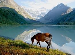 <p><span style="line-height: 115%;">What natural places in Russia are the most beautiful to visit? (Ну, </span><span>я считаю, что озеро Байкал и Алтайские горы — самые красивые места для посещения в России. Вообще, там есть (у них есть) потрясающие и великолепные виды, свежий воздух и удивительная природа.)</span></p>