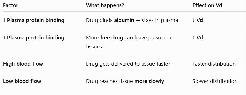 <ul><li><p><span style="background-color: transparent; font-family: "Times New Roman", serif;"><strong>Plasma Protein Binding:</strong> Drugs bound to <strong>albumin</strong> cannot leave the blood; only "free" drug is active.</span></p></li><li><p><span style="background-color: transparent; font-family: "Times New Roman", serif;"><strong>Blood Flow:</strong> Highly perfused organs (brain, heart) receive drugs faster than "slow" tissues like fat.</span></p></li></ul><p></p>