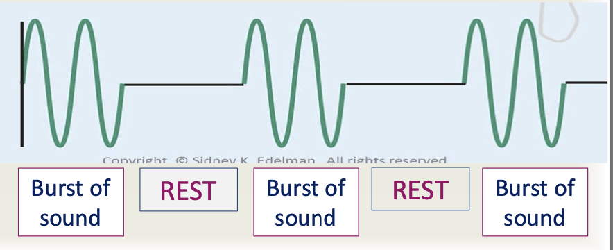 <ul><li><p>A sound wave with multiple short bursts of sound, each followed by a resting period of no sound</p></li><li><p>A set of burst of acoustic energy (voltage applied to the crystal intermittently)</p></li><li><p>Each pulse of sound has multiple cycles <strong>all traveling as one</strong></p></li><li><p>NOT on continuously</p></li><li><p>Requires one crystal that both transmits and receives.</p></li></ul><p></p>