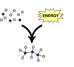 <p>create covalent bonds, energy storing, endergonic</p>
