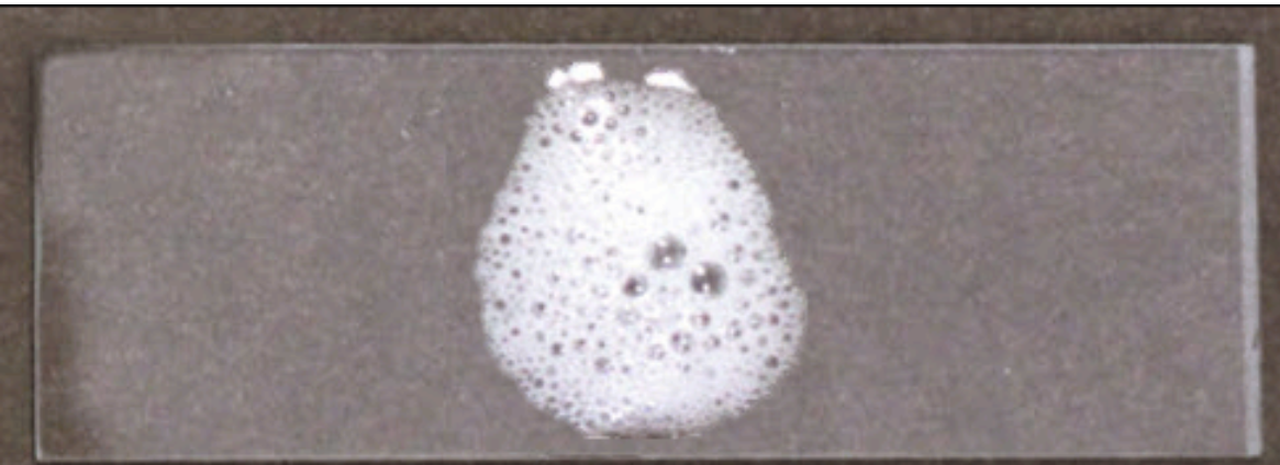 <p><span><em>examples: Staphylococcus</em> species, <em>Micrococcus</em> species, <em>Bacillus</em> species, and the <em>Enterobacteriaceae</em> family (e.g., <em>E. coli</em>).</span> [1, 2, 3, 4, 5]</p>