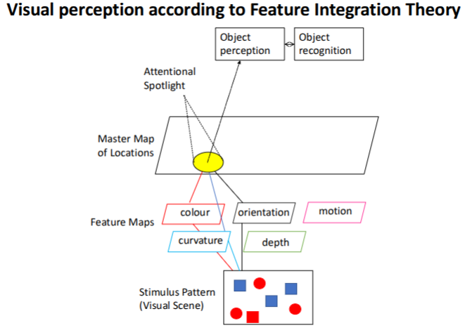 <ul><li><p>Moves within the location map</p></li><li><p>Selects whatever features are linked to that location</p></li><li><p>Features of other objects are excluded</p></li><li><p>Attended features are entered into the current temp object rep</p></li></ul><p></p>