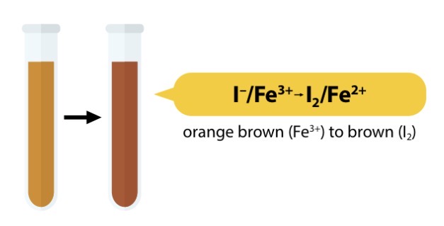 <ul><li><p>2Fe3+ (aq) + 2I- (aq) → 2Fe2+ (aq) + I2 (aq/s)</p></li><li><p>Orange/brown solution → green solution + dark brown solution (dominates)</p></li><li><p>In the presence of I-, Fe3+ can reduces to Fe2+</p></li><li><p>The overriding colour change is rusty brown → dark brown</p></li></ul><p></p>