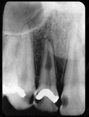 <p>What is this an example of?</p>