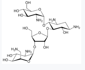 <p>Aminoglycoside used for intestinal amebiasis.</p>