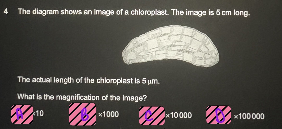 <p></p>