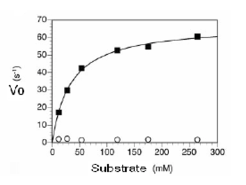 <p>Estimate the Km</p>
