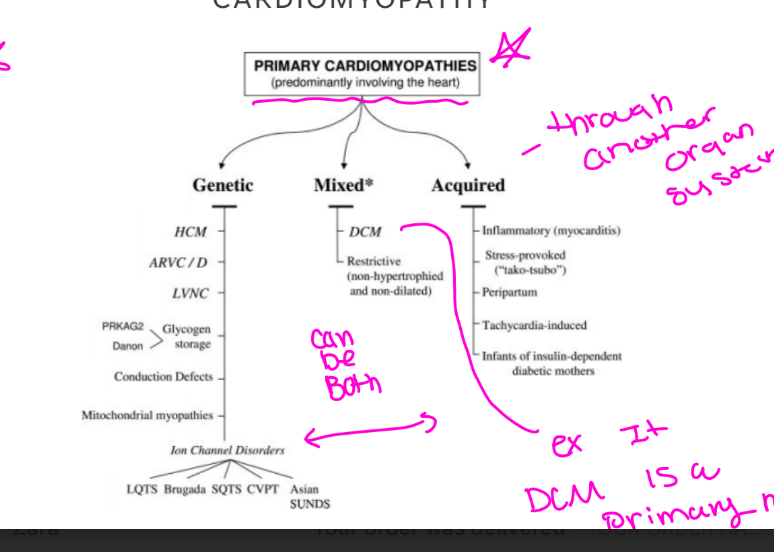 <p>Primary cardiomyopathies , Mixed (can be both genetic and acquired)</p>