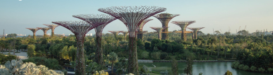 <p>18 iconic, towering vertical gardens ranging from 25 to 50 meters tall, located in Gardens by the Bay. These man-made, eco-friendly structures feature over 160,000 plants, generate solar power, and harvest rainwater, while acting as ventilation shafts for the conservatories</p>