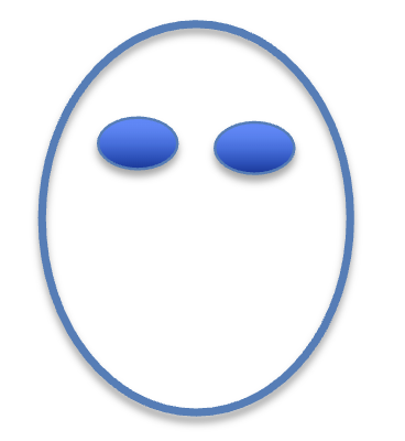 <p>Infants don’t have a general understanding of gaze, but prefer faces that match a simple head-on face template</p>