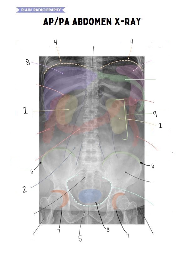 <p>6</p>
