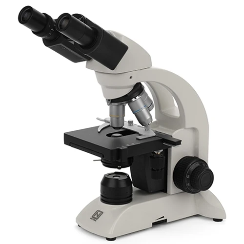 <p>Compound Light Microscope</p>