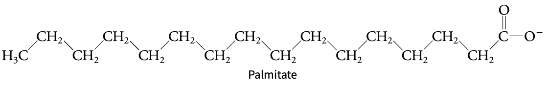 <p>Group of insoluble, naturally occurring molecules (C, H, O)</p>