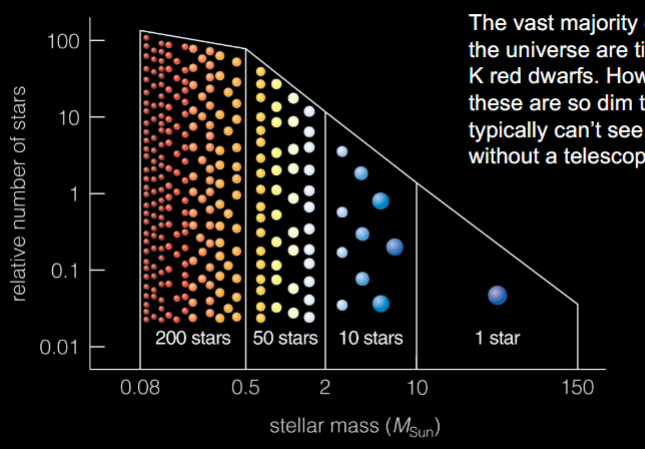 <p>But, very dim so hard to see without telescope</p><ul><li><p>Most stars near the sun are red dwarfs</p></li><li><p>Mostly SEE giants and supergiants — dead or dying suns, very bright</p></li></ul><p></p>