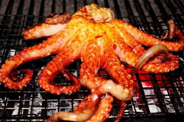 <p>grilled octopus</p>