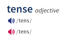 term image