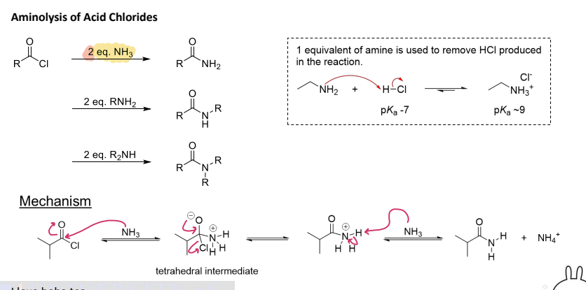<p><strong><u>Reactions of Acid Chlorides </u></strong></p><p><strong>Reaction #15) - ________ (Weak Nucelophile) </strong></p><ul><li><p>Replace<strong> Cl with Nitrogen group minus one hydrogen </strong></p></li></ul><p></p>
