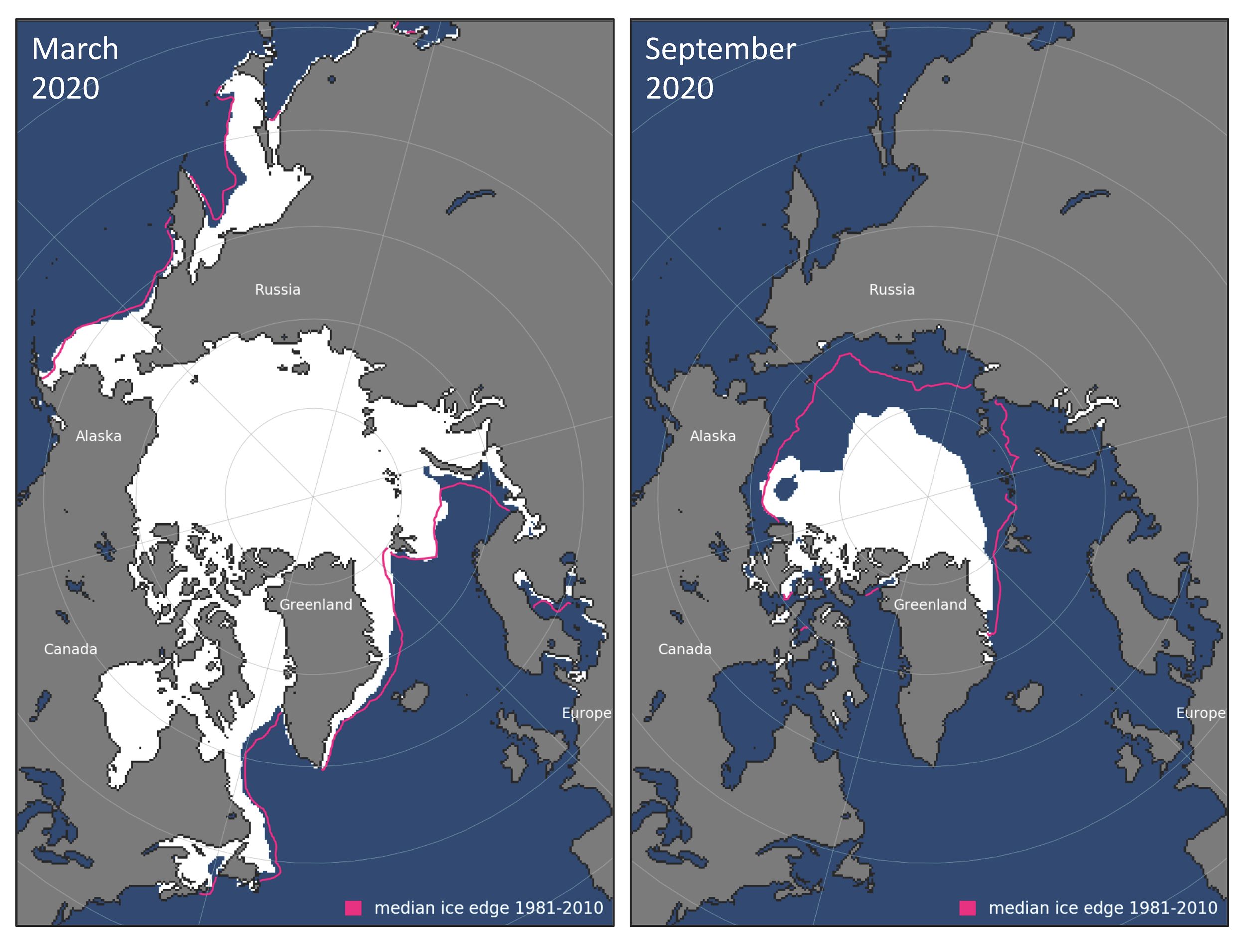 <p>-Both regions experience long, dark and extremely cold winters and summers with continuous ligt</p><p>-Sea ice growth and melt are tied seasonally</p>