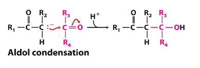 <p>Ketone into an alcohol</p><p></p>