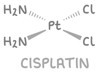 <p>not transplatin - Cl ligands must be on same side to substitute so that Pt can bind to guanine bases</p>