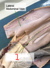 <p>what is 1?</p>