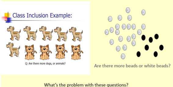 <p><span style="line-height: 115%;">Preoperational children have problems with hierarchal classification: Organisation of objects in classes and sub-classes (linked to centration). Questions lead you subconsciously to think of one subclass rather than both at the same time.</span></p>