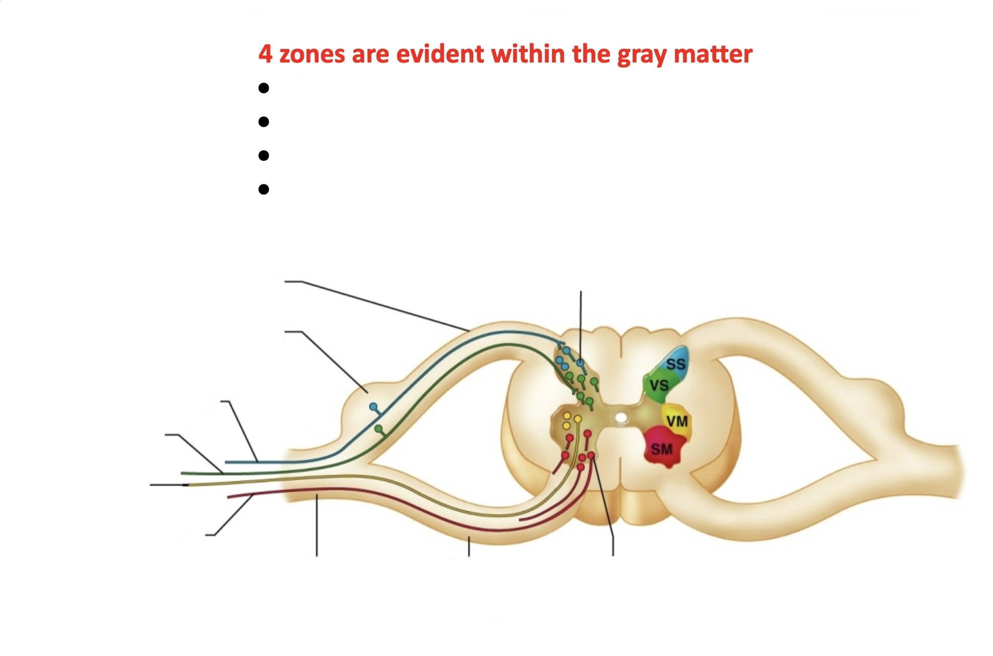 <p>‘<a target="_blank" rel="noopener noreferrer nofollow" class="link" href="https://assets.knowt.com/user-attachments/6d6ab5b1-1349-4c8e-92d0-b9651411e2fc.jpg" data-prevent-progress="true">https://assets.knowt.com/user-attachments/6d6ab5b1-1349-4c8e-92d0-b9651411e2fc.jpg</a></p>