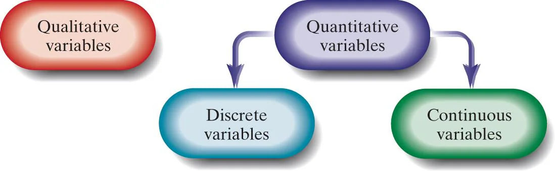 <p>quantitative variables</p>