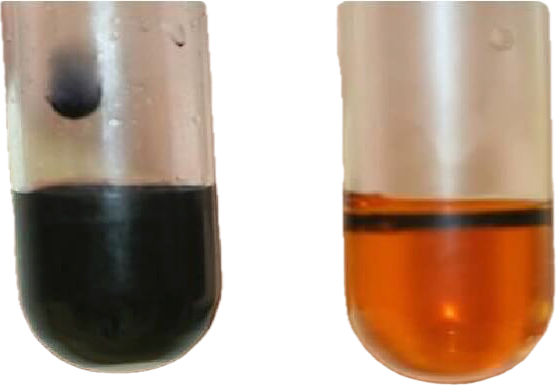 <p>In the Iodine Test, if it was positive, what does the color change / stay to?</p>
