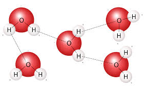 <p>Hydrogen Bond</p><p></p><p>Explanation: <span>The bond between separate water molecules is called a </span><strong><mark>hydrogen bond</mark></strong>. This weak intermolecular attraction occurs when the slightly positive hydrogen atom of one water molecule is attracted to the slightly negative oxygen atom of an adjacent water molecule</p>