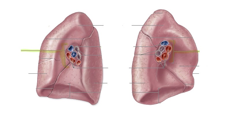 <p>what is this </p>