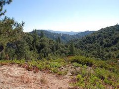 <p>earth (terrain)</p>