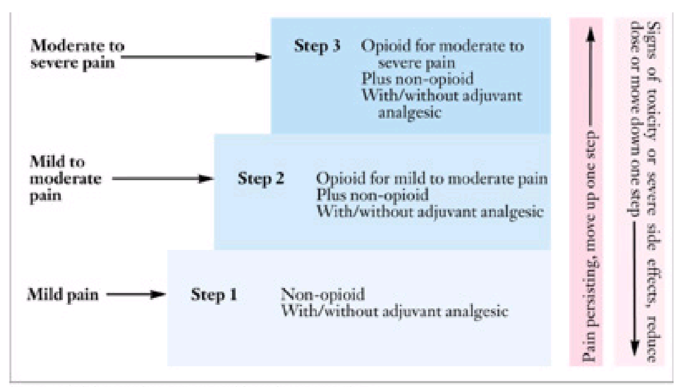 <p>Developed by the World Health Organization (WHO) - Three Steps:</p><p></p><p>1) Mild Pain</p><ul><li><p>1-3 / 10 Step 1</p></li></ul><p></p><p>2) Mild to Moderate Pain</p><ul><li><p>4-6 / 10 Step 2</p></li></ul><p></p><p>3) Moderate to Severe Pain</p><ul><li><p>7-10 / 10 Step 3</p></li></ul><p></p>