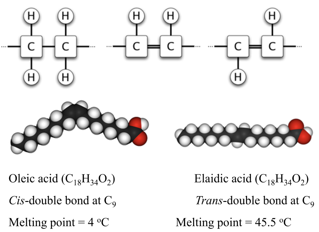 <p>Why do trans fats have higher melting points than cis?</p>