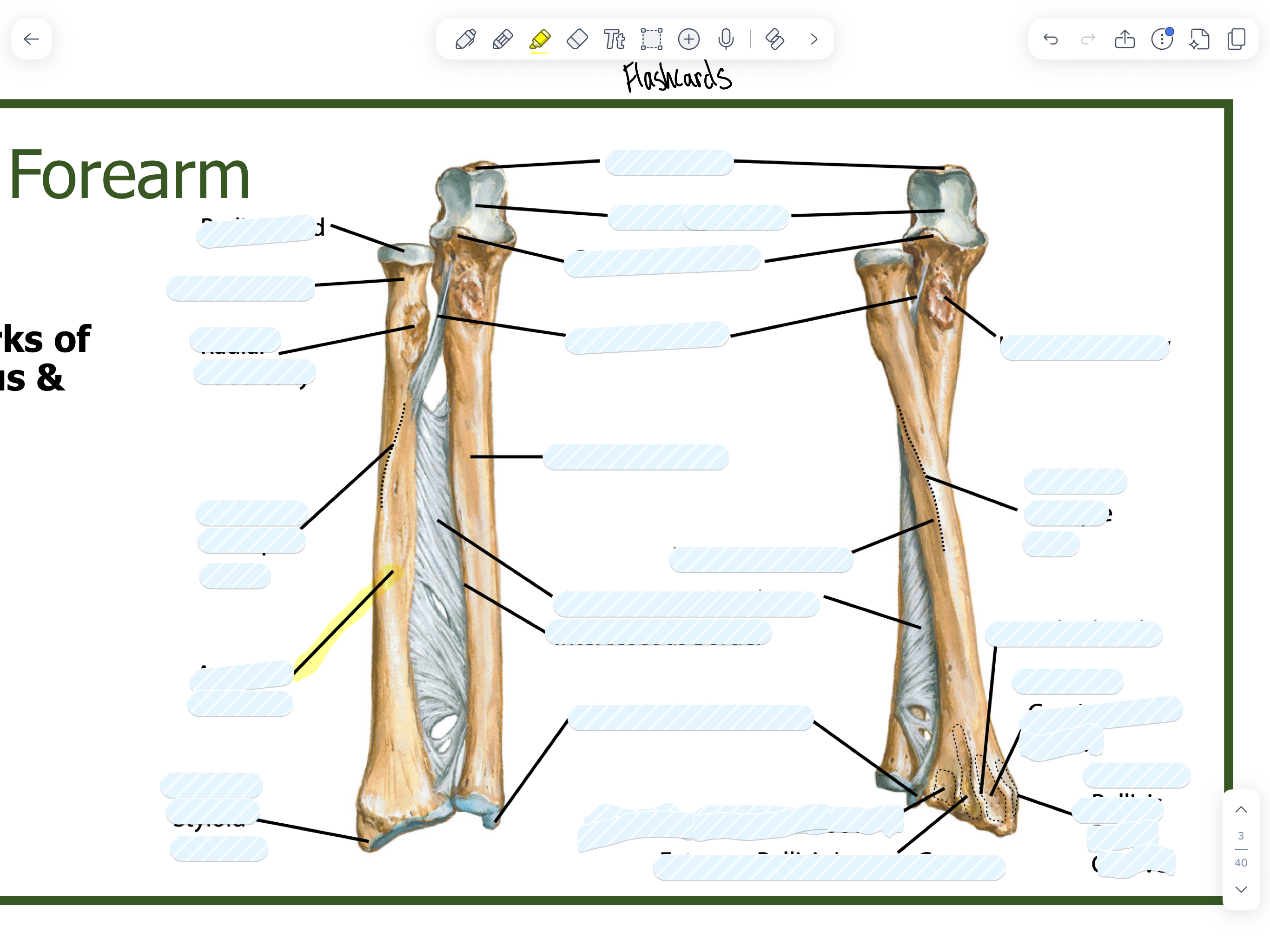 knowt flashcard image