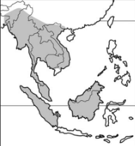 <p>Infraclass Eutheria</p><p>Order Primates</p><p>Suborder Haplorrhini</p><p>Parvorder Catarrhini</p><p></p><p>Gibbons</p>