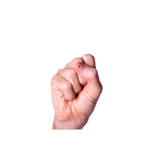 term image