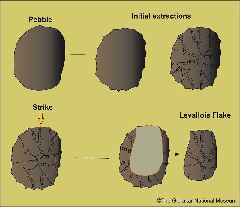 <p><span>Levallois technique</span></p>