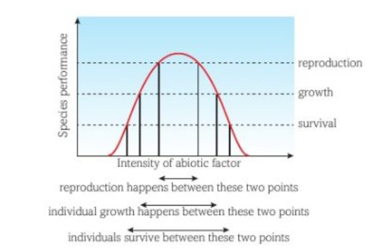 <ul><li><p>A graphical representation to show how an organism’s survival, growth or reproductive success is affected by changes in specific environmental factors </p></li><li><p>Some abiotic factors can be lethal at one extreme (e.g. toxicity and pollutants) which the graph will show </p></li><li><p>On a tolerance curve, the organisms will survive, grow and reproduce in a much more broad range </p></li></ul><p></p>
