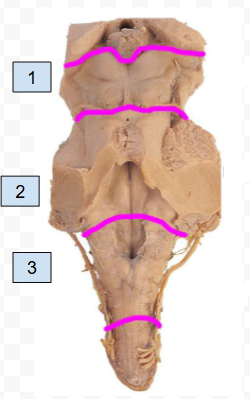 <p>3</p>