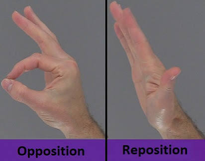<p>Opposition</p>