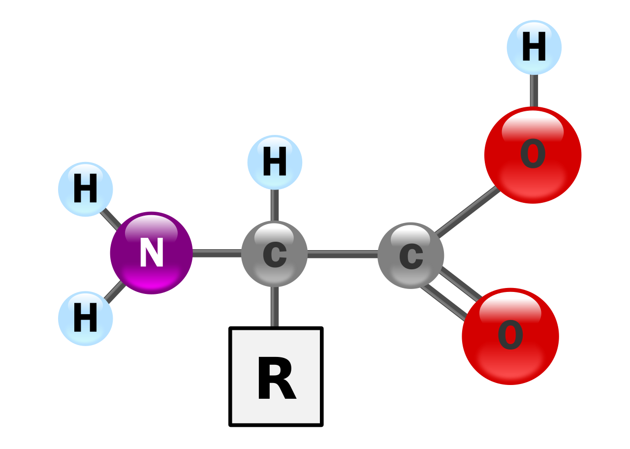 <p>Functional Group</p>